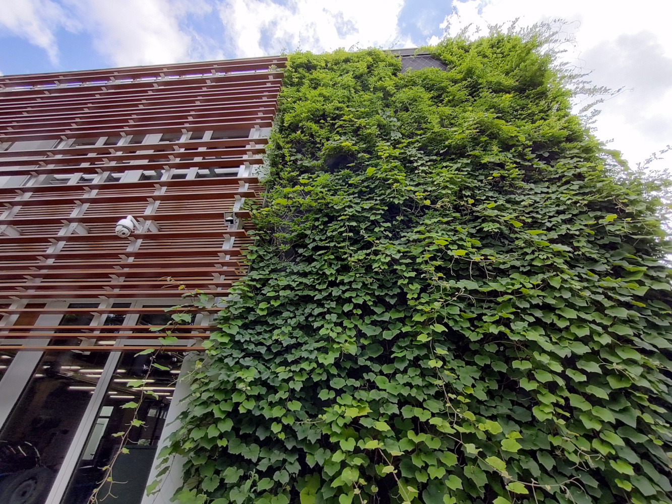 Grote groene gevel met netten