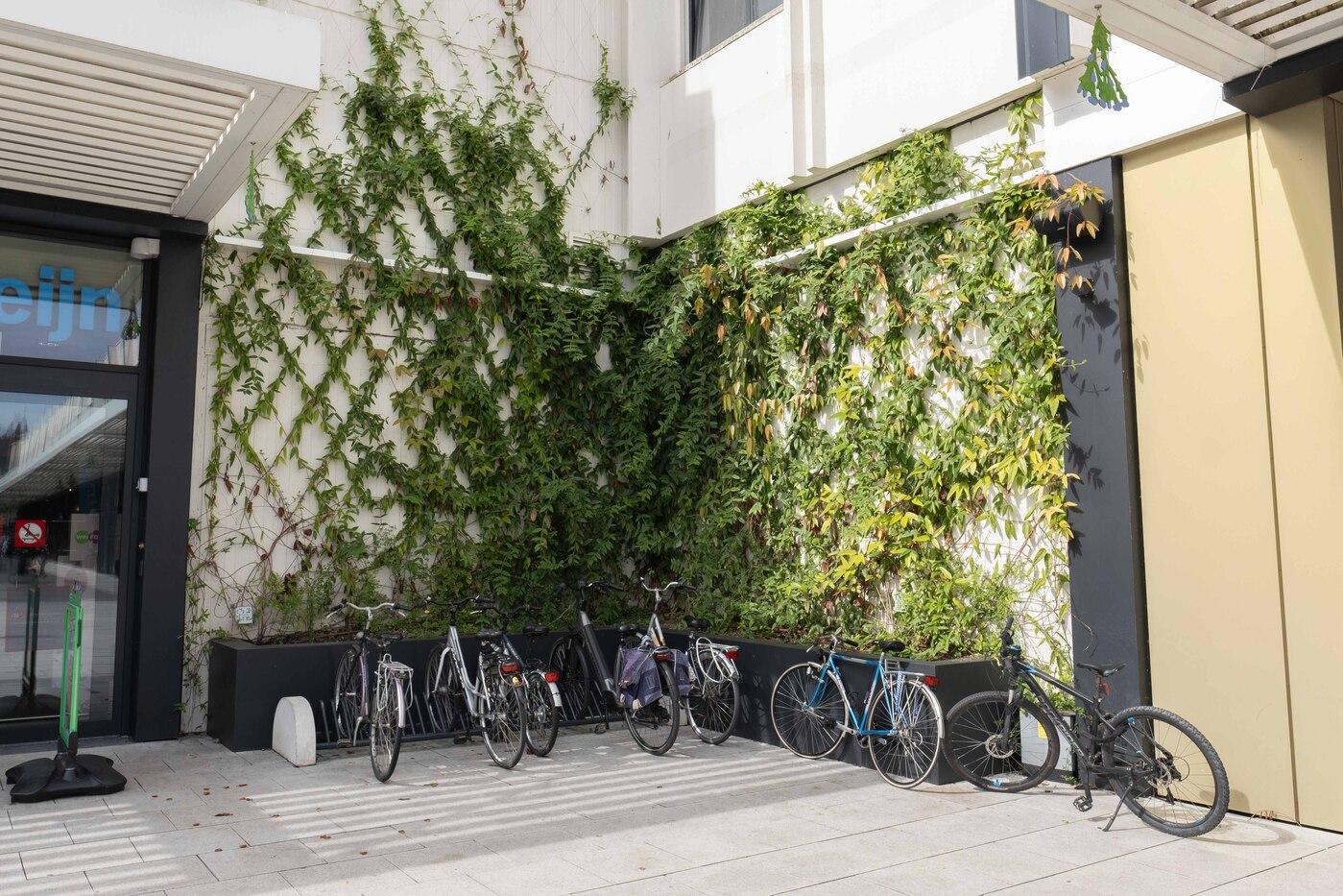 Klimhulp groene gevels