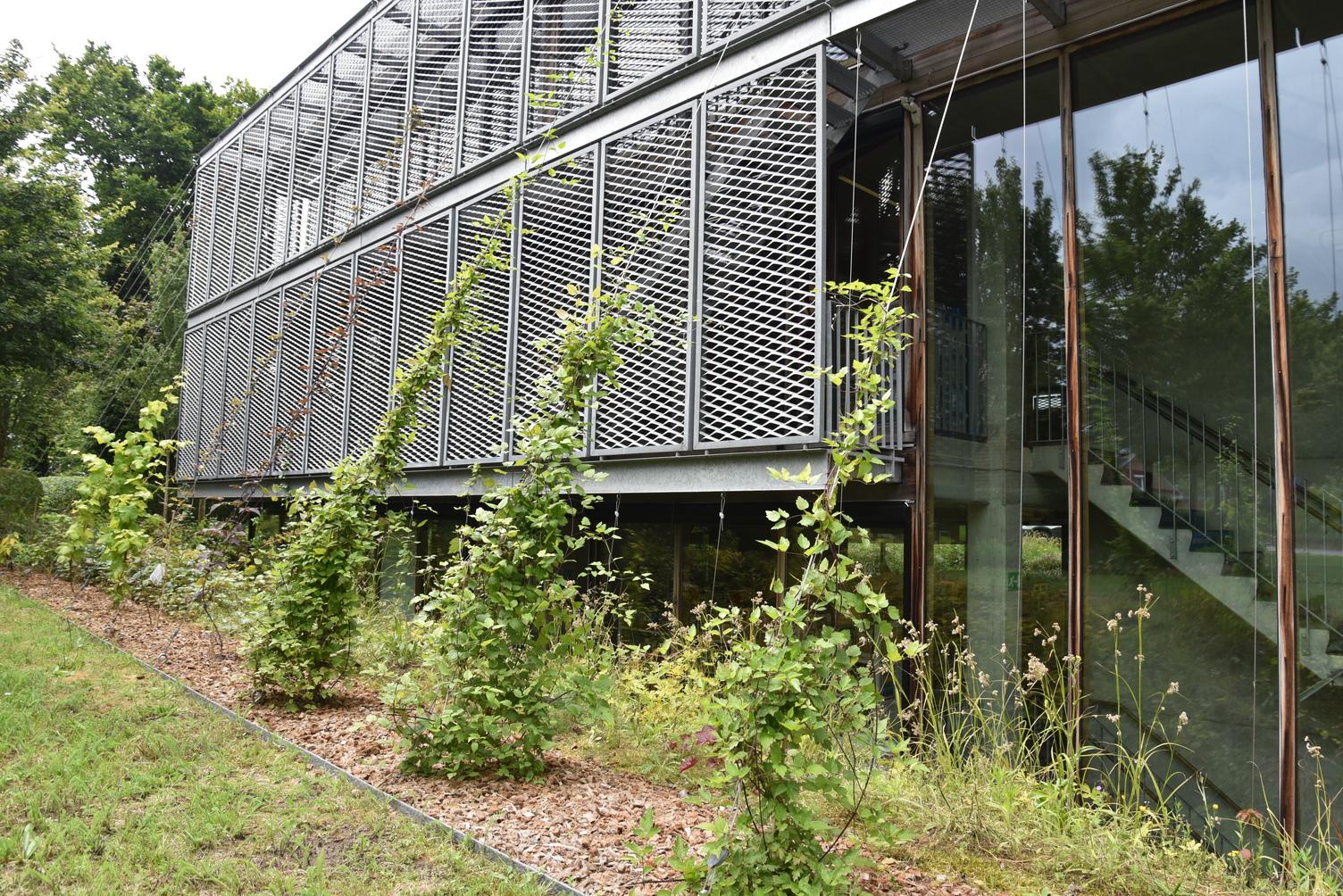 Groene Gevels bibliotheek Bonheiden